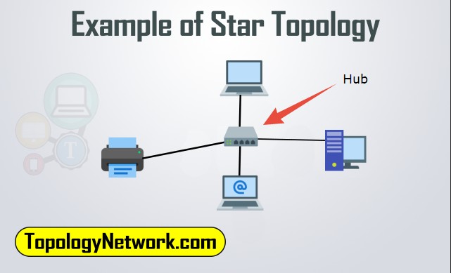 star wired topology