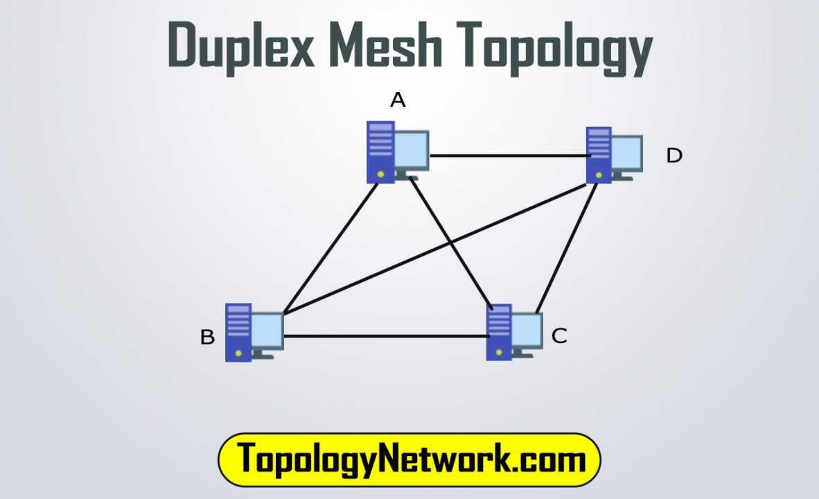 duplex mesh topology example