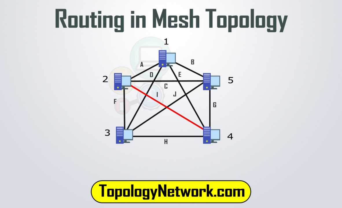 routing in mesh topology